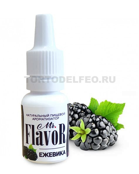 Ароматизатор Ежевика Mr Flavor 10мл