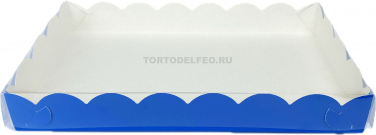 Коробочка синяя с прозрачной крышкой 25*15*3,5см